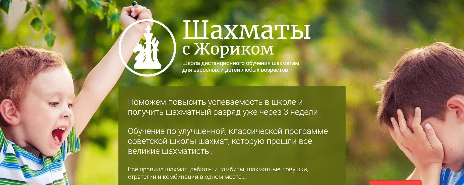 О пользе шахмат