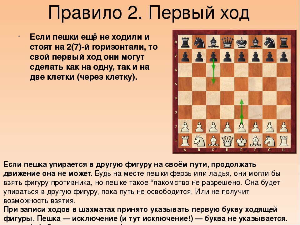 Виды и названия шахматных фигур, правила их расположения на доске