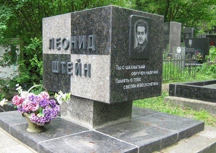 Биография Леонида Штейна