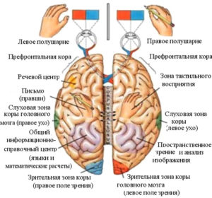 О роли шахмат в современном обществе
