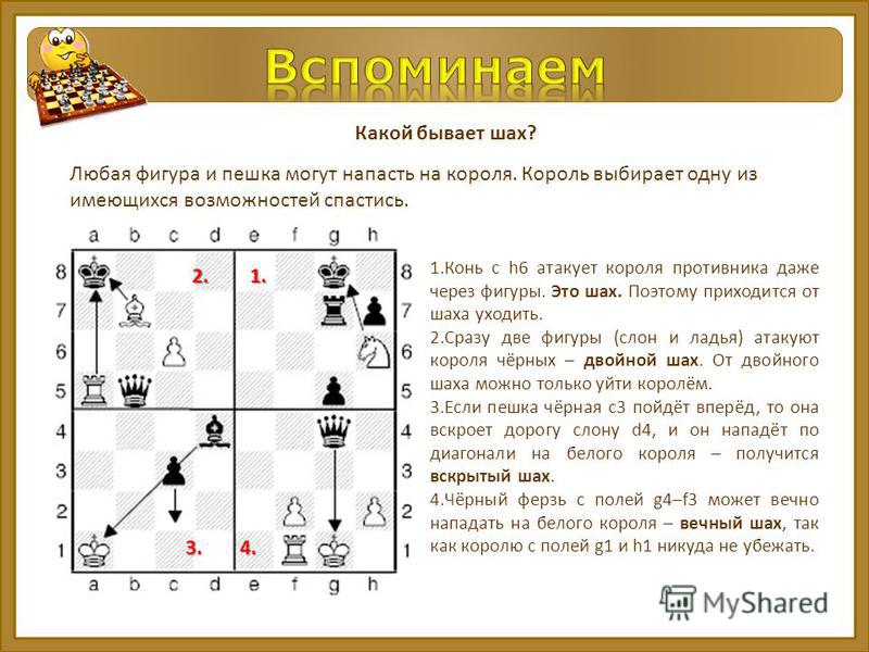 Глава 4. конь-хамелеон / математика на шахматной доске // гик е. я.