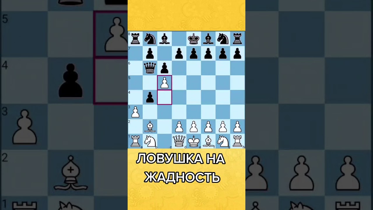 Морфи