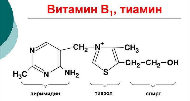 Система 1...b6