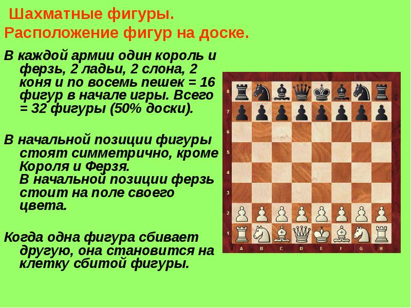 Где стоит король в шахматах