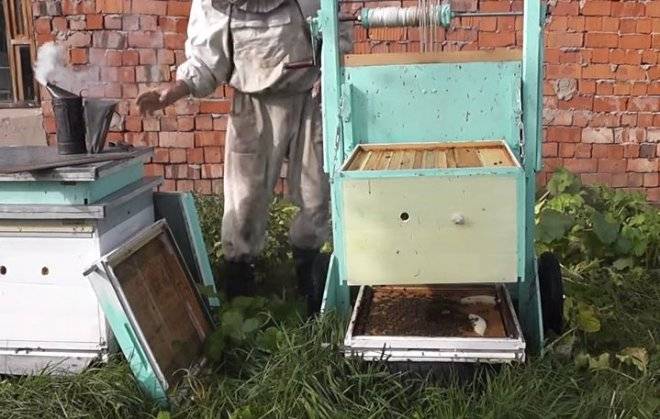 В субботний денек - в 1 ход маток. Реши задачу, если поймешь как