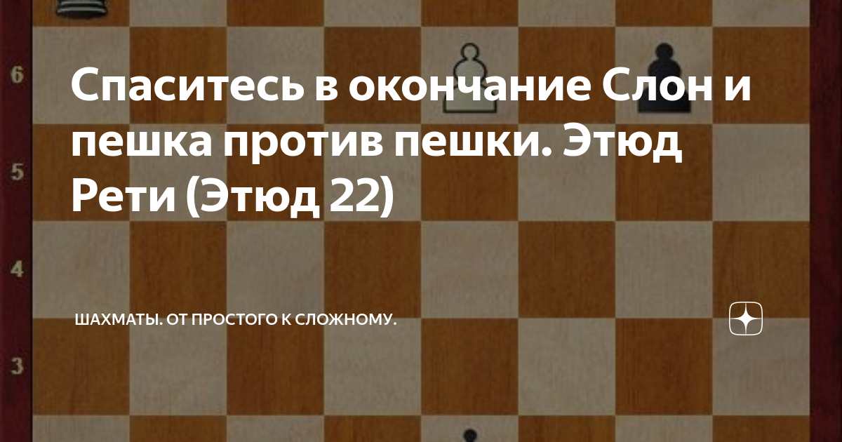 Шахматы для всех!