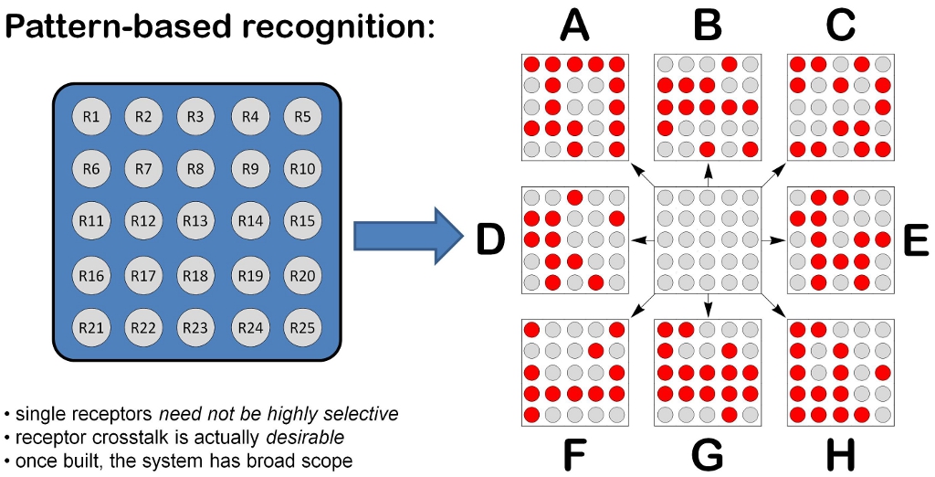 Pattern recognition (tutorial) and machine learning: an introduction