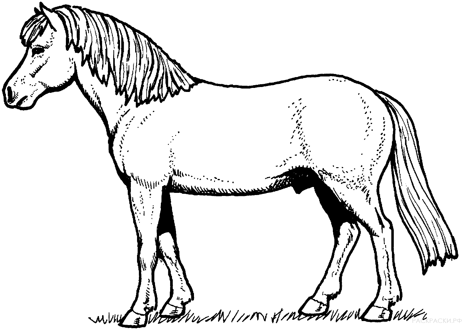 Все головоломки и загадки опасного острова в genshin impact