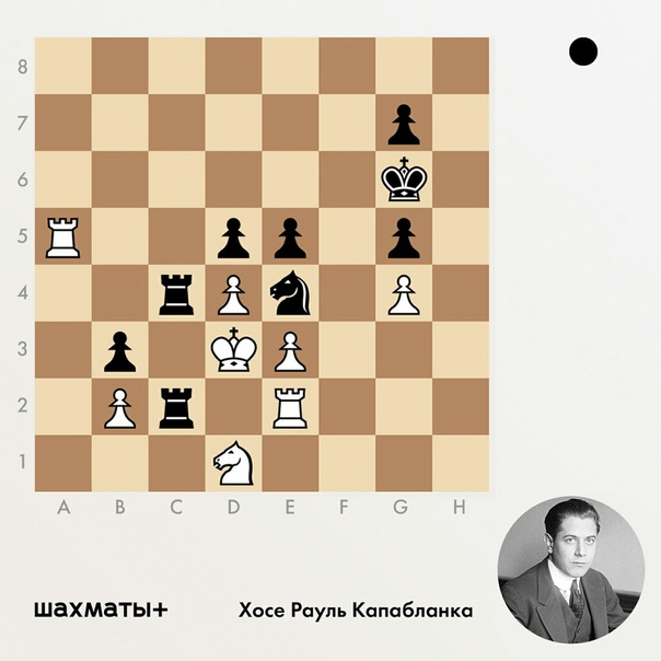 Хосе рауль капабланка
