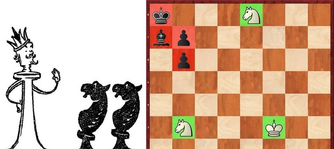 Типичные матовые конструкции: ладья + конь, ладья + слон