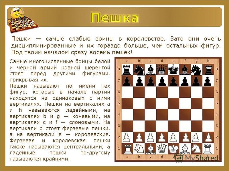 Шахматные фигуры